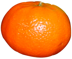 Big. Orange. Head.