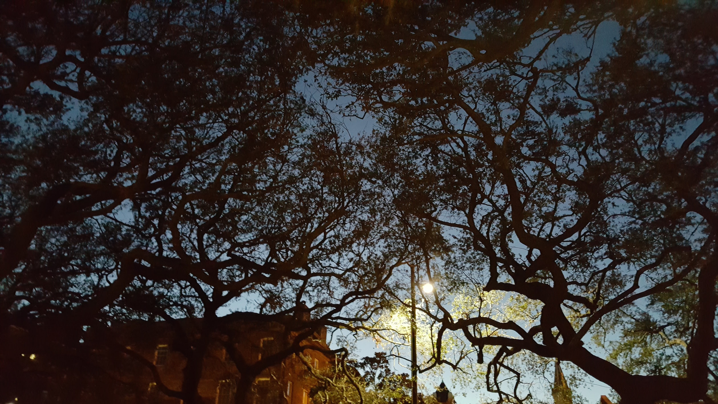 Sundown in Savannah near City Market. Photo: Moi.