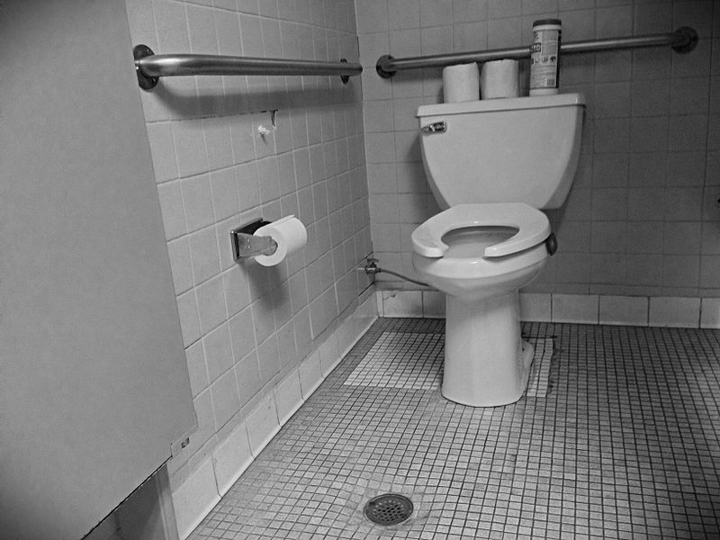 The Northwestern bathroom looked better than this. But let's not split hairs. EW, HAIRS!!! Image: Wikipedia
